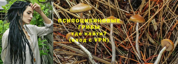 mdpv Няндома